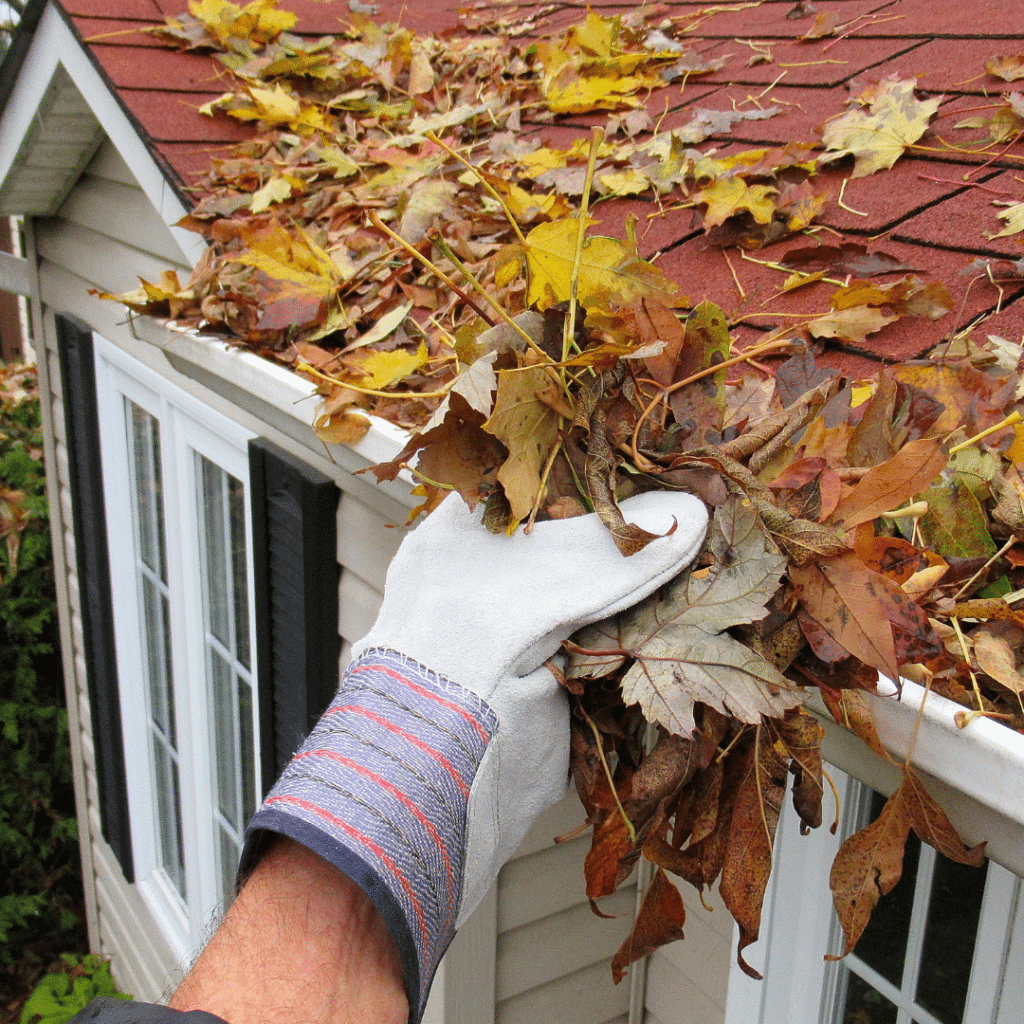 Spring Gutter Cleaning