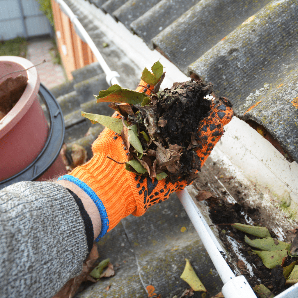 Discover Colorado Springs Gutter Cleaning Benefits for Homeowners